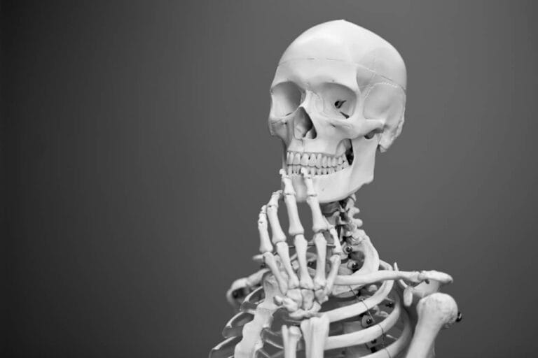 咲く？仕切り？リア？V系独特のルール・用語を徹底解説！