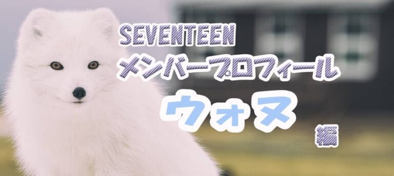 SEVENTEENウォヌの経歴、身長、体重、学歴など徹底解説！