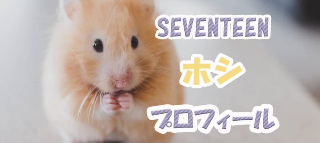 SEVENTEENホシの年齢、経歴、身長、体重など徹底解説！