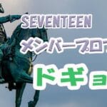 【SEVENTEENメンバープロフィール】ドギョム編