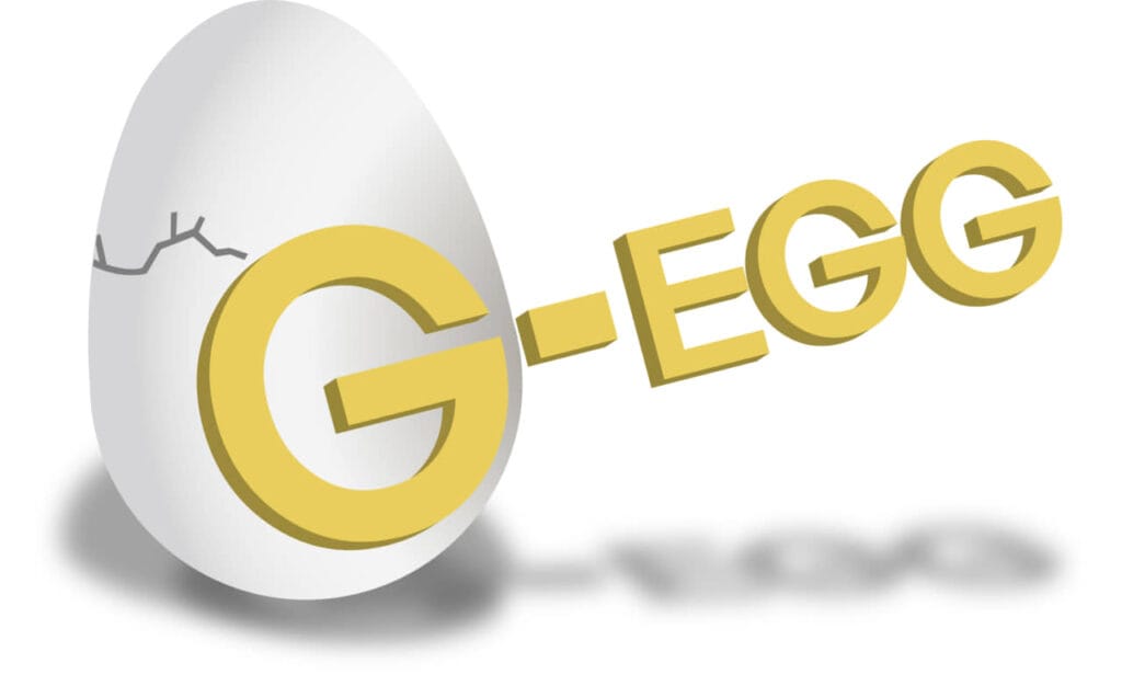 日本発！日韓合同グローバルアイドル発掘プロジェクト「G-EGG」始動！ 11月23日(土)無料招待制公開オーディション開催決定
