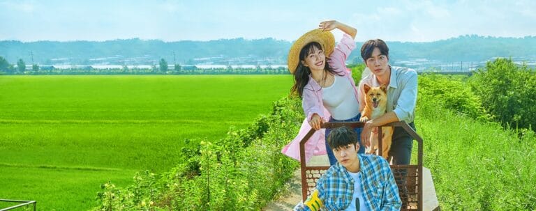 韓ドラ『田舎町ダイアリーズ』OST一覧まとめ【動画あり】