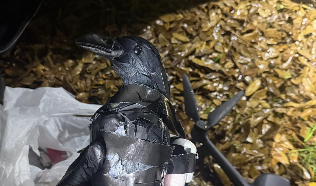 ドローンでカラスを投下、空気砲で薬物発射…米刑務所の密輸手口が想像以上だった