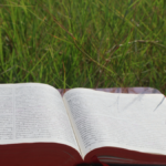 【2026最新】キリスト教徒のKPOPアイドルまとめ 洗礼名や意外な教会エピソードも