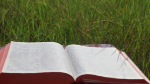 【2026最新】キリスト教徒のKPOPアイドルまとめ 洗礼名や意外な教会エピソードも